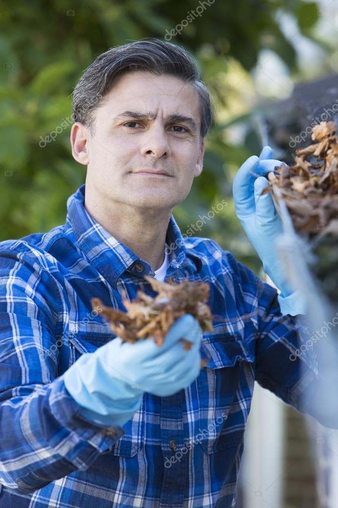 depositphotos 86047370 stock photo man clearing leaves from guttering
